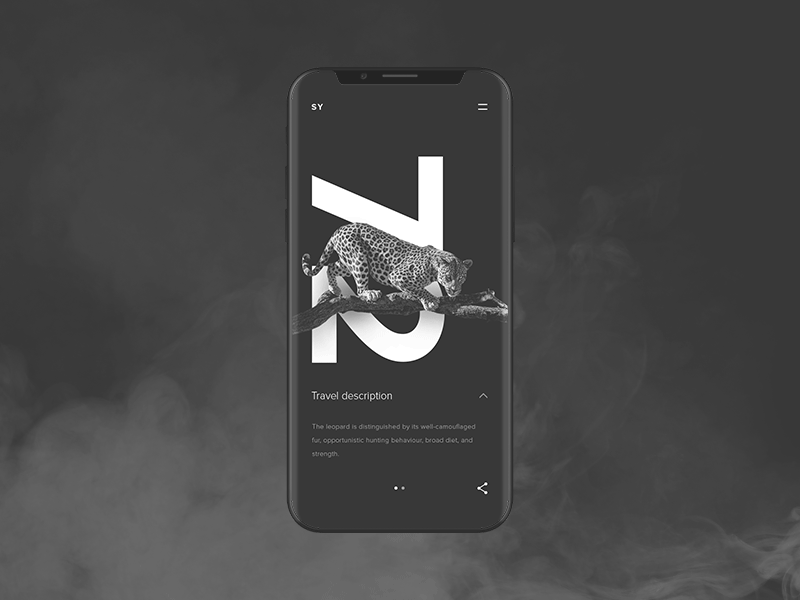 Design d’application pour Fortune 500