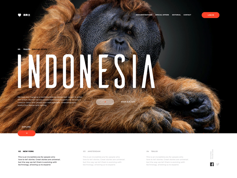 Design web pour marque de mode